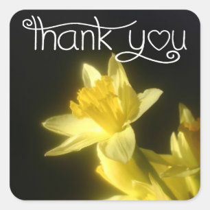 Adesivo Quadrado Floral Obrigado Amarelo Narciso Flor Preta