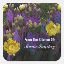 Flores Amarelas Púrpuras De Opuntia Perea Cactus