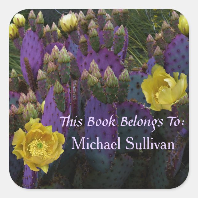 Adesivo Quadrado Flores Amarelas Púrpuras De Opuntia Perea Cactus (Frente)