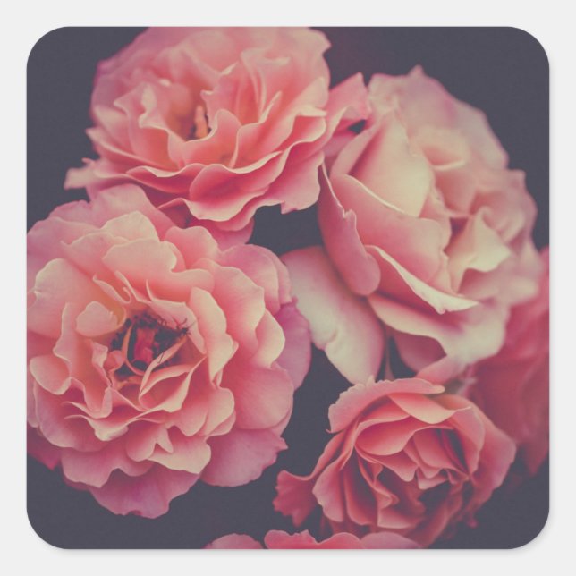 Adesivo Quadrado Flores de Cravos Rosa (Frente)
