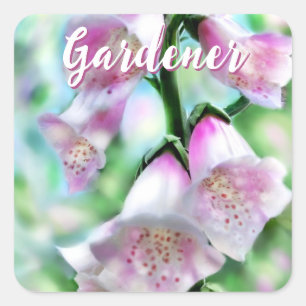 Adesivo Quadrado Flores de Dedaleira Floral Rosa Personalizado Jard