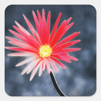 Adesivo Quadrado Flores de Margarida Vermelha Vintage