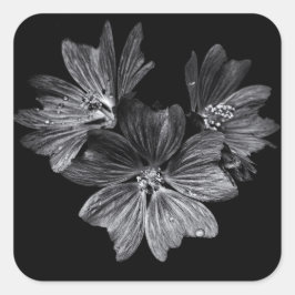 Adesivo Quadrado Flores De Quintal A Preto E Branco N.O 11