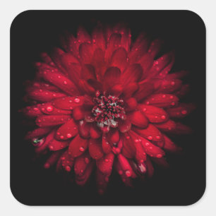 Adesivo Quadrado Flores De Quintal Sem Versão De 45 Cores