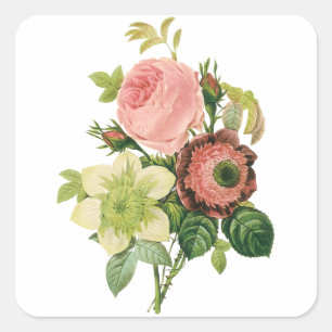 Adesivo Quadrado Flores de Vintage, Rosas de Anemone Clematis por R
