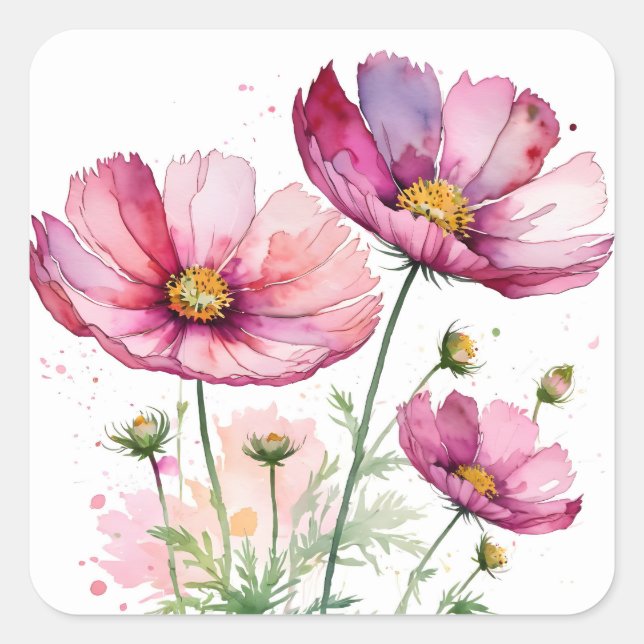 Adesivo Quadrado Flores do cosmos púrpura (Frente)