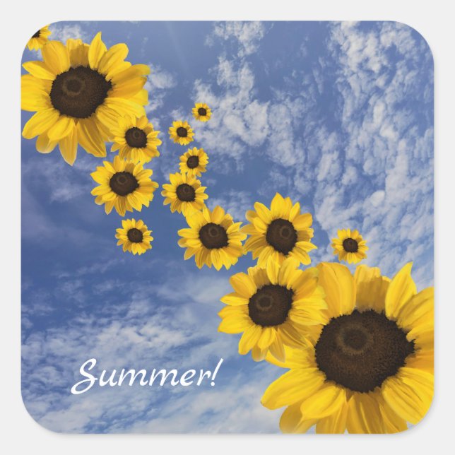 Adesivo Quadrado Flores do sol realísticas céu azul nuvens lisas (Frente)