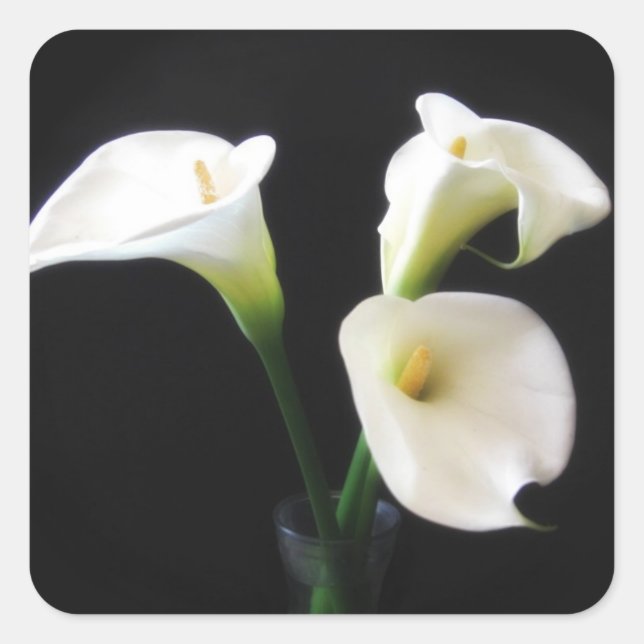 Adesivo Quadrado Flores Elegantes Calla Lily 12 (Frente)