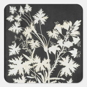Adesivo Quadrado Flores na Silhouette