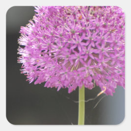 Adesivo Quadrado Flores para Todos