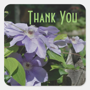 Adesivo Quadrado Flores Purple Clematis Muito Obrigado Sticker