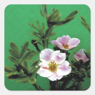 Adesivo Quadrado flores silvestres de rosa rosa em verde, Elegante