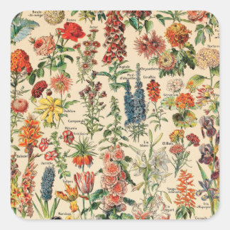 Adesivo Quadrado Flores Vintage por Adolphe Millot