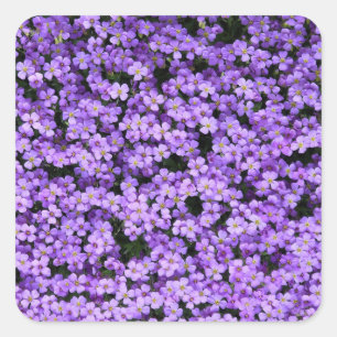 Adesivo Quadrado Flores Violetas