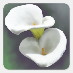 Adesivo Quadrado Flores White Calla Lily
