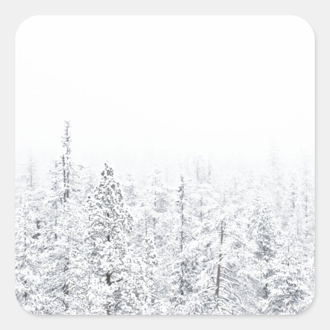 Adesivo Quadrado Floresta de neve (Frente)