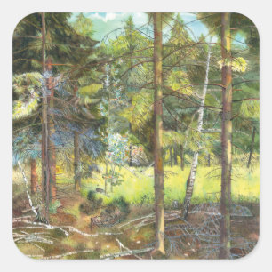 Adesivo Quadrado Floresta de pinheiro