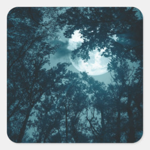 Adesivo Quadrado Floresta Noturna Encantadora com Lua Cheia