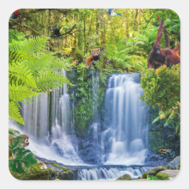 Adesivo Quadrado Floresta tropical e animais incríveis
