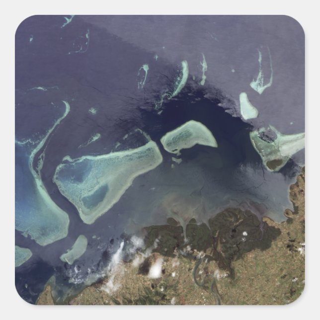 Adesivo Quadrado Floresta verde profunda em terra (Frente)