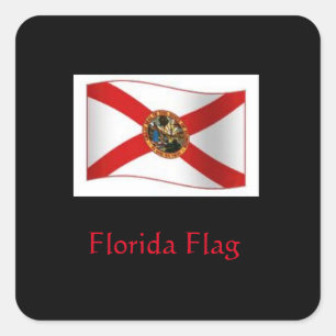 Adesivo Quadrado Flórida Flag Sticker