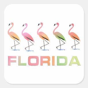 Adesivo Quadrado FLORIDA - flamingos tropicais de marcha