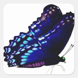 Adesivo Quadrado Focas de Envelope Borboleta