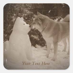 Adesivo Quadrado fofo akita beijando um cão de neve do boneco de n