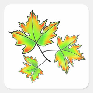 Adesivo Quadrado Folha de Maple