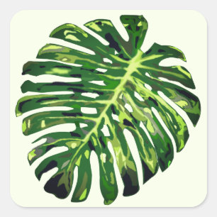 Adesivo Quadrado Folha de Monstera Tropical - Exótica