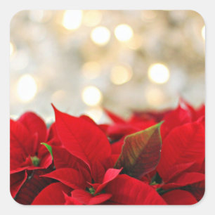 Adesivo Quadrado Folha de Vinhetas de Natal com Flores