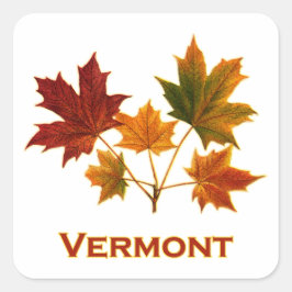 Adesivo Quadrado Folhagem de Queda de Vermont - Folhas de Mapeament