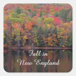 Adesivo Quadrado Folhas de outono Cores de Cores de Cores de Cores