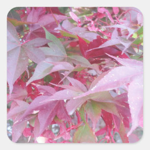 Adesivo Quadrado Folhas Rosa E Sage