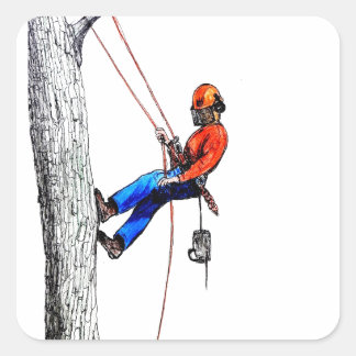Adesivo Quadrado Forester do cirurgião arborista em árvore