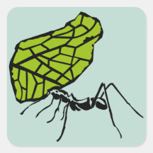 Formiga de fio de folha natureza Stencil