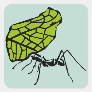 Adesivo Quadrado Formiga de fio de folha natureza Stencil
