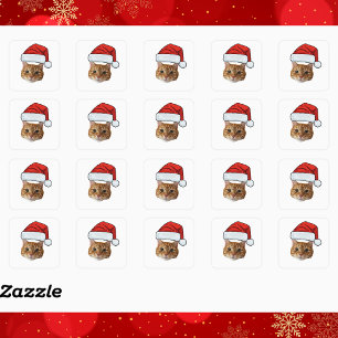 Adesivo Quadrado Foto do Natal do Gato de Rosto Personalizado com C