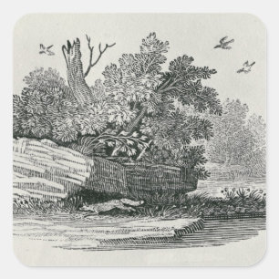 Adesivo Quadrado Fox que escapa, 'a história geral de