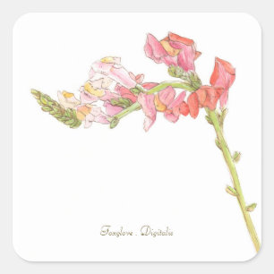 Adesivo Quadrado Foxglove Sticker