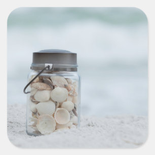 Adesivo Quadrado Frasco dos Seashells na praia Florida