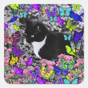 Adesivo Quadrado Freckles nas borboletas II - gato do smoking