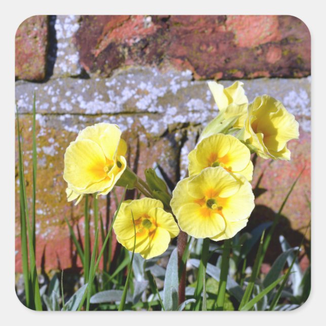 Adesivo Quadrado Frequentes (Frente)