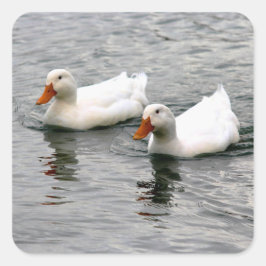 Adesivo Quadrado Friends For Life