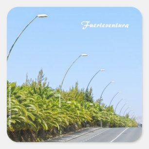 Adesivo Quadrado Fuerteventura Sticker