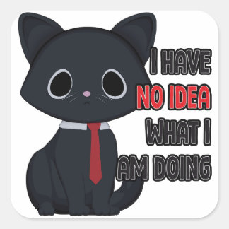 Adesivo Quadrado Funny Cat I Have No Idea What I Am Doing Sticker