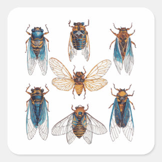 Adesivo Quadrado Funny Cicadas Insetos Inseto Gráfico Cicada Lover