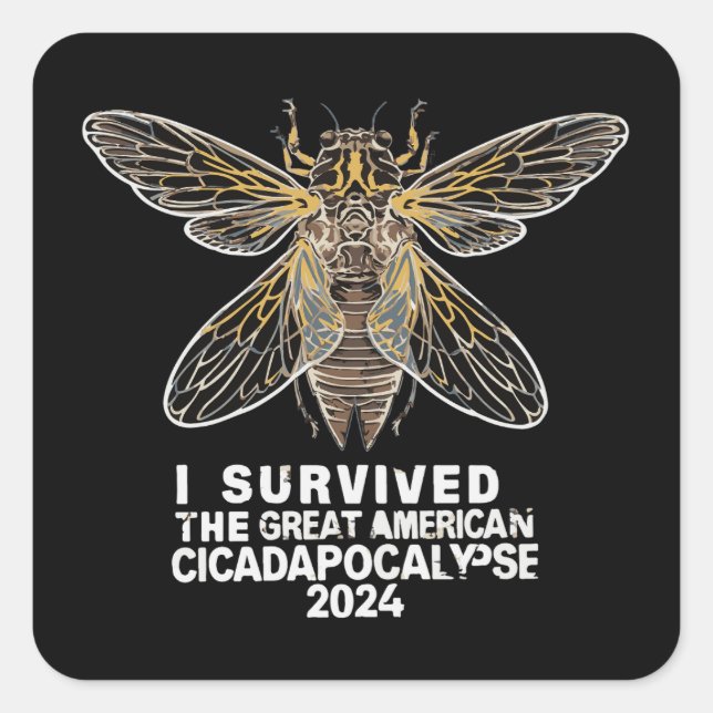 Adesivo Quadrado Funny Cicadas Insetos Inseto Gráfico Circular Cira (Frente)