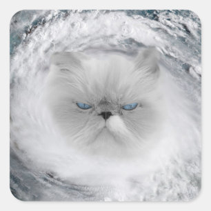 Adesivo Quadrado Furacão Gato Irritado 5