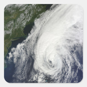 Adesivo Quadrado Furacão Igor